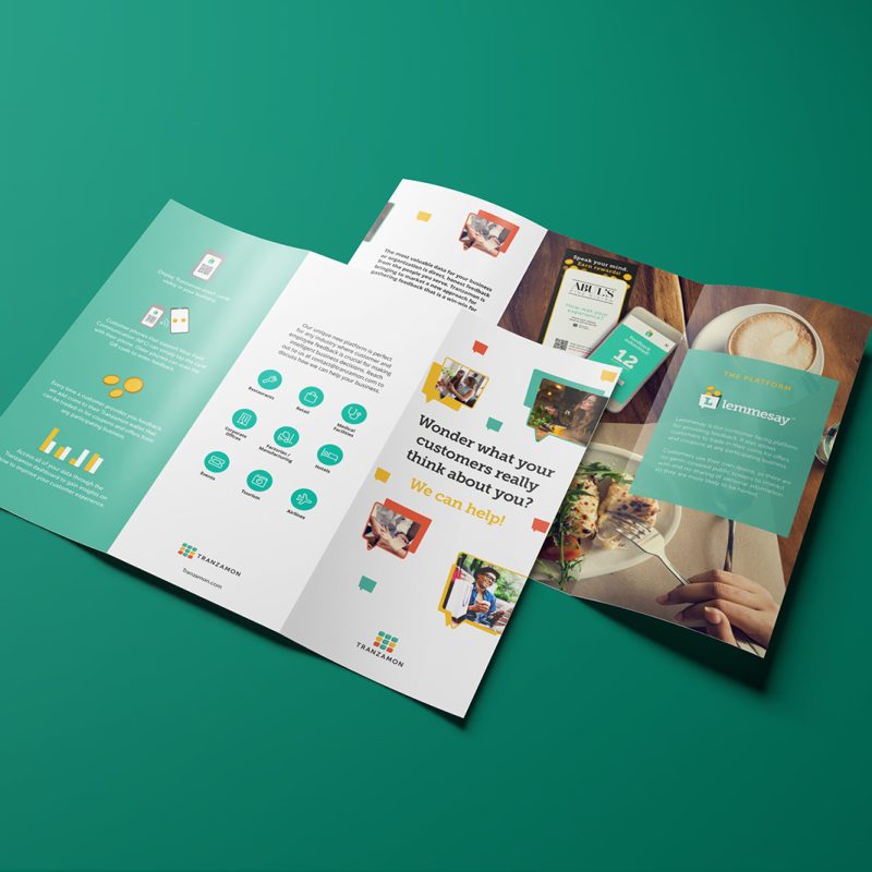 Lemmesay brochure design